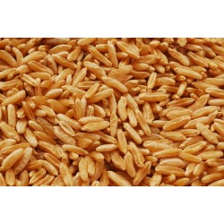 Kamut® Bio-Khorasan-Weizen 5kg