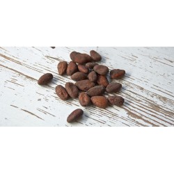 Rohe Bio-Kakaobohnen 1kg