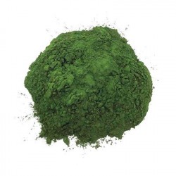 Bio-Chlorella-Pulver 1kg