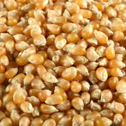 Bio Popcorn Mais 2,5kg