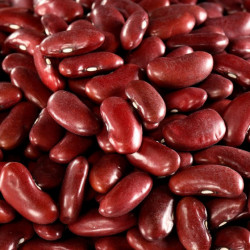 Fagioli Red Kidney bio 2,5kg