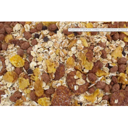 Muesli al cioccolato bio