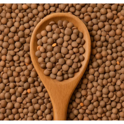 Braune Berglinsen Bio 5kg IT