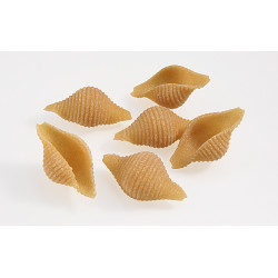 Conchiglie di amaranto teff...