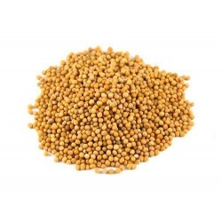 semi di senape giallo bio 1kg