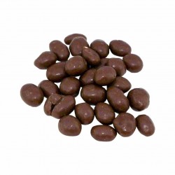 Arachidi in cioccolato bio 1kg